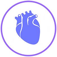 Cardiovascular health